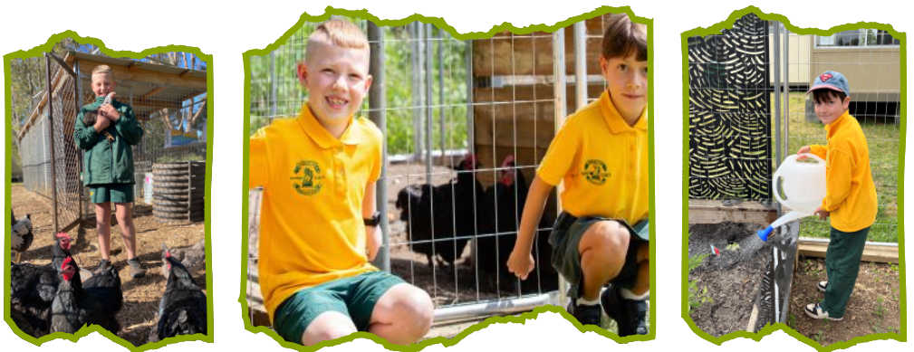 Students with chickens and in the garden