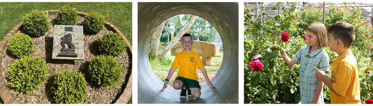 Image of school grounds and students
